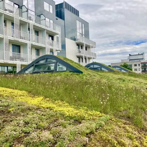 Green roofs by ZIDA