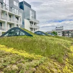 Dach zielony na hotelu Radisson Blu w Sopocie