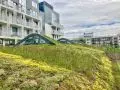 Dach zielony na hotelu Radisson Blu w Sopocie