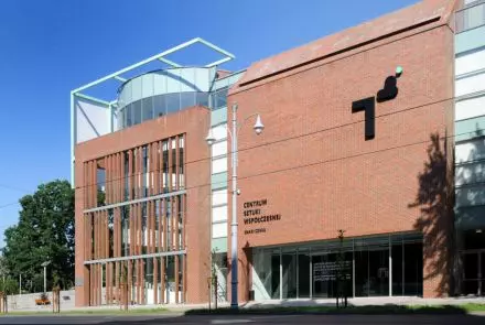 Centrum Sztuki Współczesnej w Toruniu, elewacja z cegieł CANABERRA