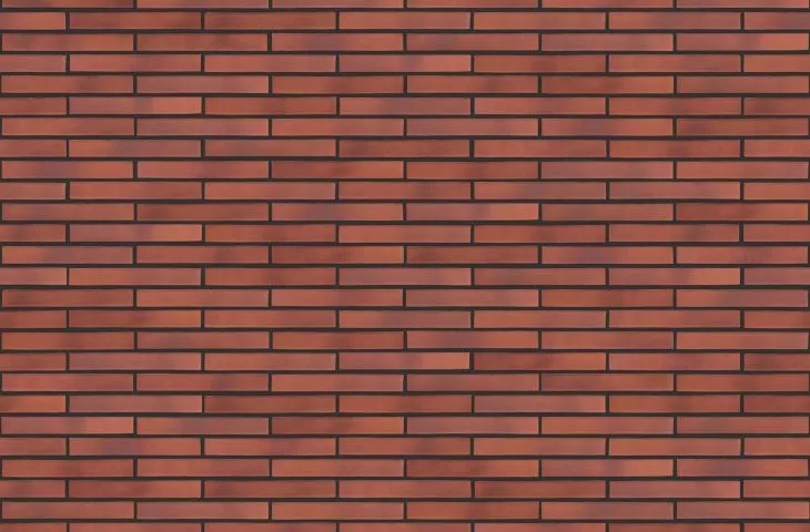 Cegła DARWIN XLDF, 365×115×52 mm