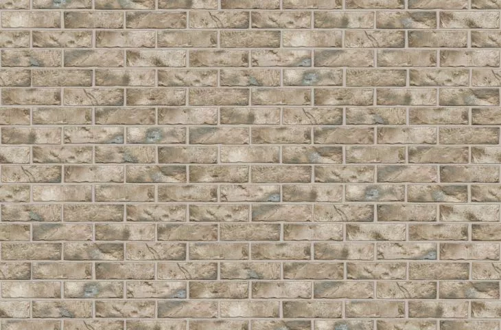 Cegła GRANITY NF, 240×115×71 mm