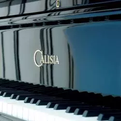 Rewitalizacja kompleksu Calisia One