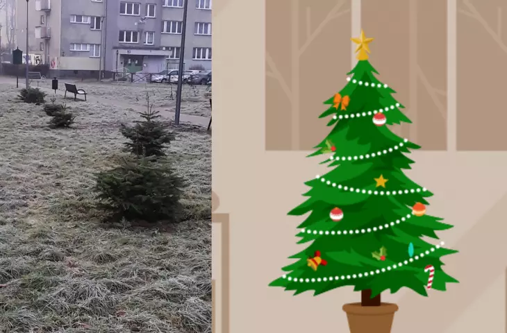 Christmas tree vertigo? There are ways to do it in Krakow and Wroclaw
