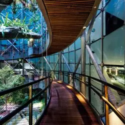 Green Planet w Dubaju
