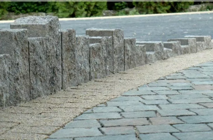 Palisady łupane MOGIELICA