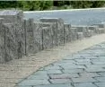 Palisady łupane MOGIELICA