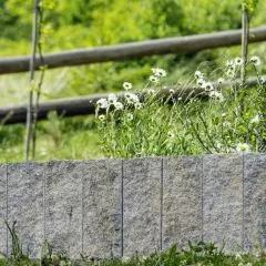 Palisady łupane STONE