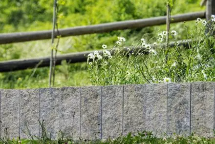 Palisady łupane STONE