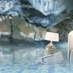 Konkurs Iceland Thermal Springs Guest House