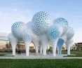 Instalacja „Pillars of Dreams”