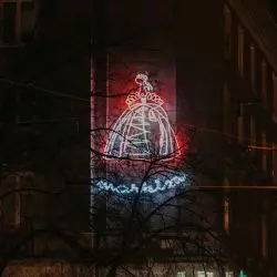 Neon „Markiza, 2022,