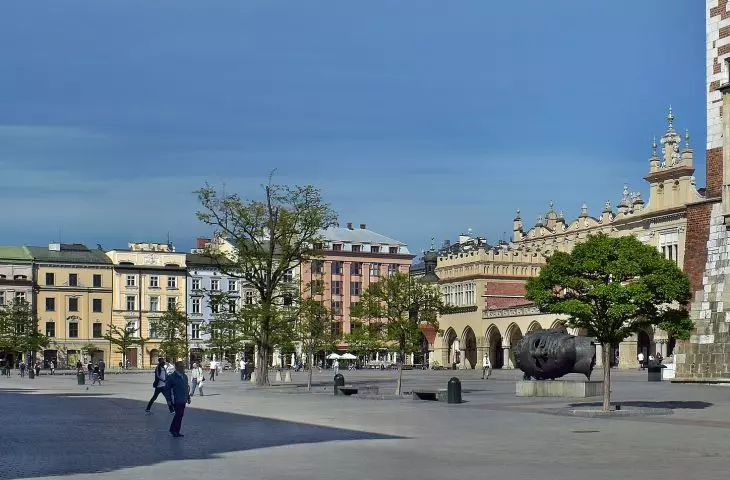 Will the pots prepare Cracovians for the greening of Market Square?