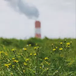 Śląskie Miasto