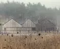House blends into forest wall