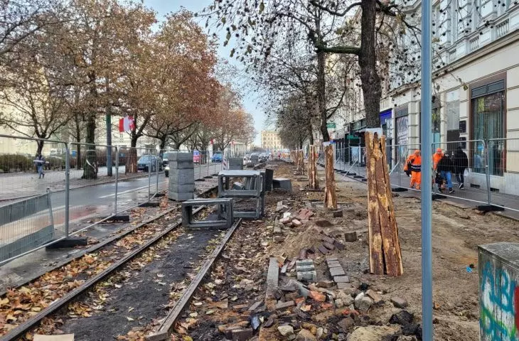 Drzewa wygrywają z urzędniczym uporem