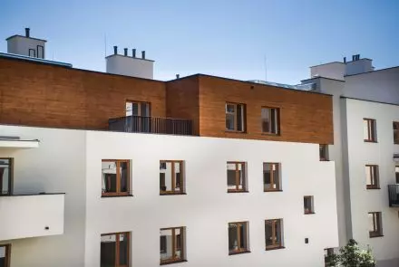 Elewacja z Bolix WOOD, mahoń