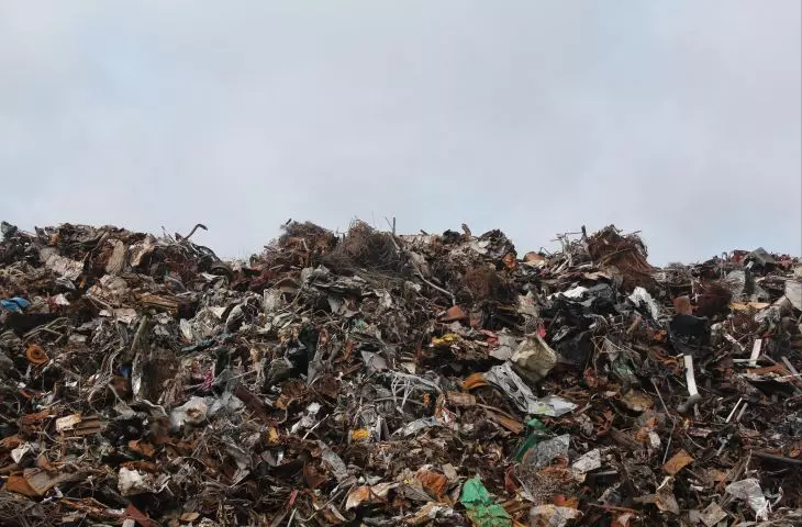 Agnieszka Sznyk: The circular economy is all about localism
