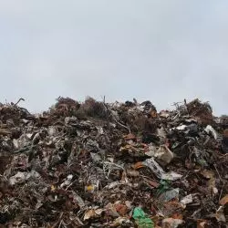 Gospodarka cyrkularna ma odpowiadać na problemy nowoczesności, czy tak się stanie?