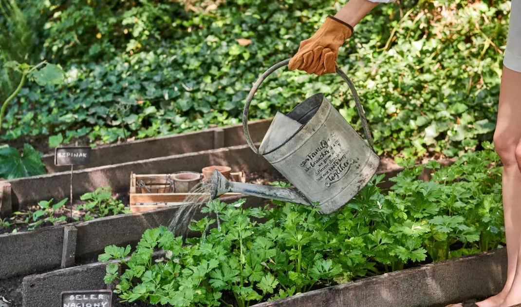 Spring work in the garden