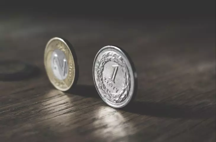 How much is the IARP membership fee, what goes into it and where does the money go?