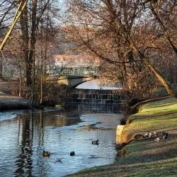 Rzeka Bogdanka w parku Sołackim, w tle parkowy staw