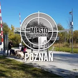 Miasto na celowniku — POZNAŃ
