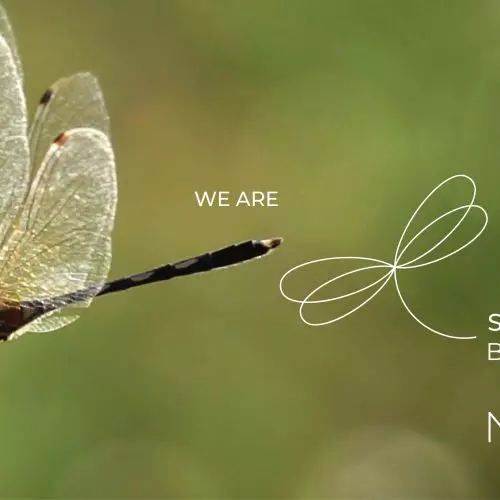 „Sustainable Beauty” – przyszłościowa kampania Neolith na rzecz zrównoważonego rozwoju