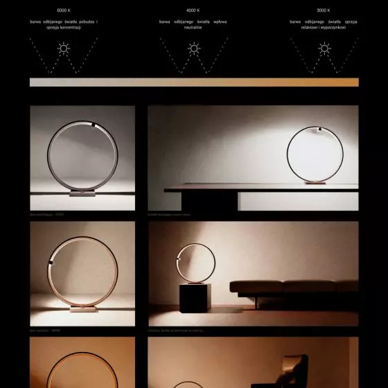 III Nagroda, proj.: The light cycle