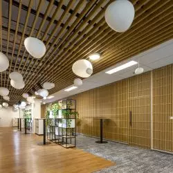 Solid Wood Grid PKO BP Chmielna, Warszawa