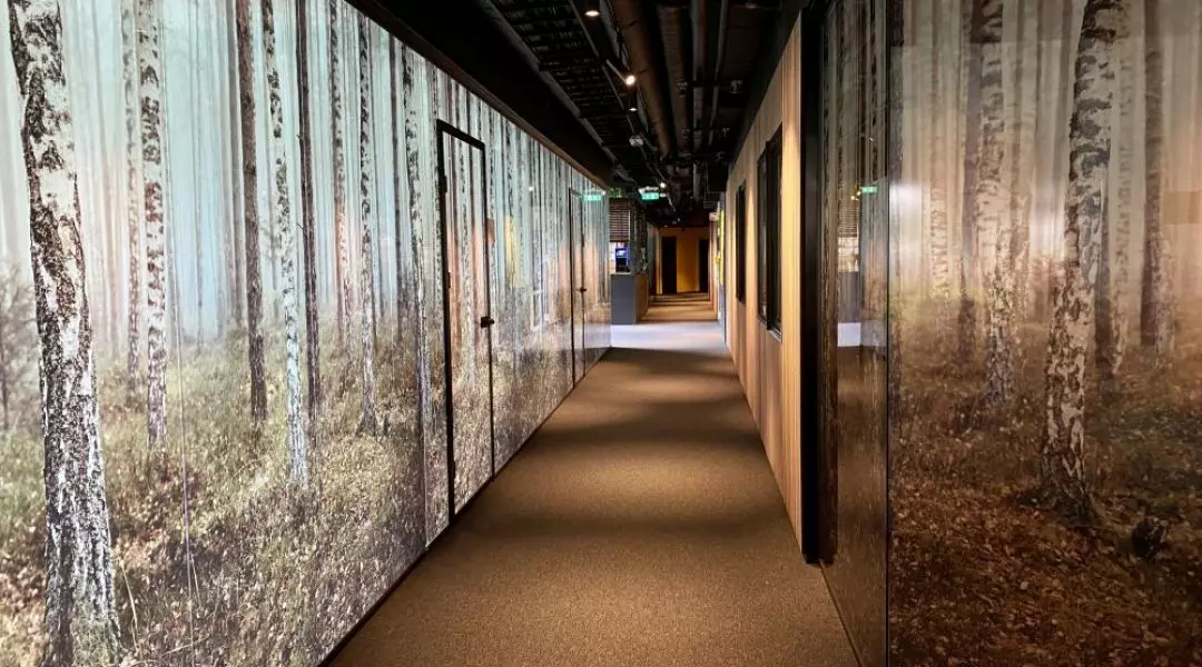 Fomo an Office in the Woods