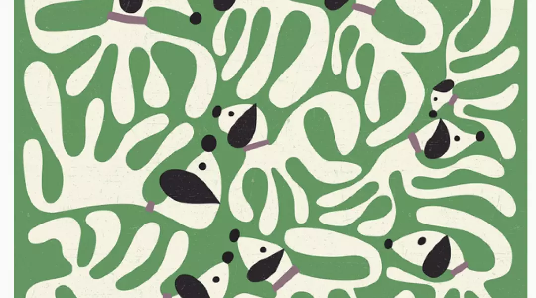 Patternplay