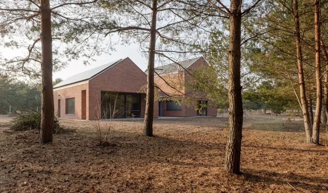 House under the forest