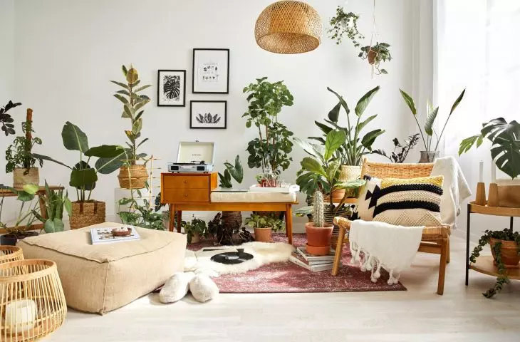5 sposobów jak zorganizować wnętrze w stylu biofilii