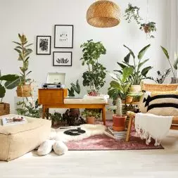 Wnętrze w stylu biofilii