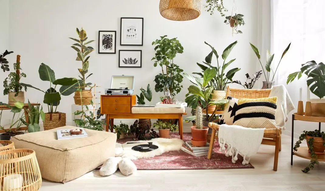 Biophilia-style interior