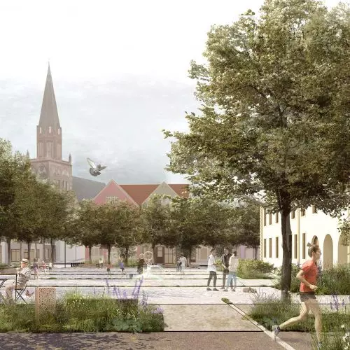 Potencjał współpracy. Wyróżniony projekt zielonego rynku w Trzebiatowie
