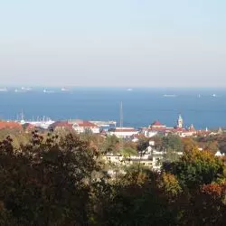 Sopot zachęca do zgłaszania nowych pomników przyrody