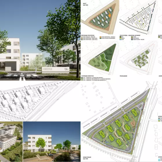 Wyróżnienie — Warzecha Studio