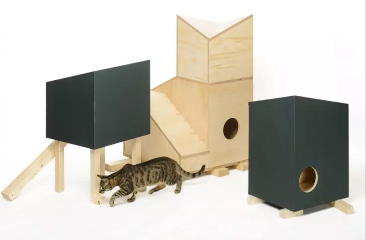 KOTYDŻ. Cottages for free-living cats have been erected in Poznań