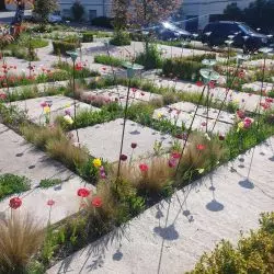 rozszczelniony betonowy plac