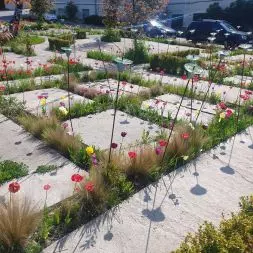 rozszczelniony betonowy plac