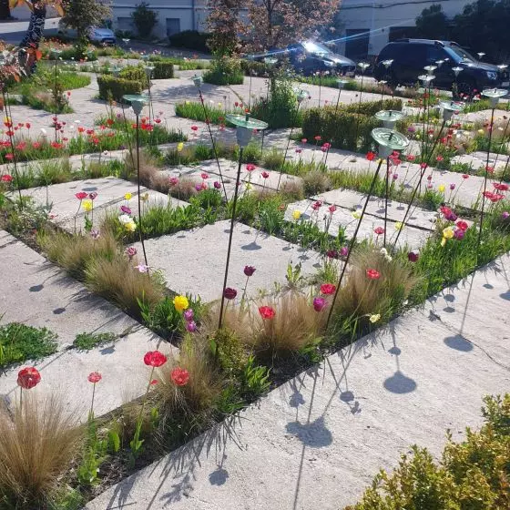 rozszczelniony betonowy plac