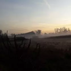 z Tomaszem Fiszerem rozmawiamy o historii walki o Olszanice
