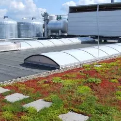 Zalety zastosowania dachów zielonych, materiałów termoizolacyjnych i foli dachowych