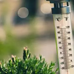 Zobacz 7 praktycznych porad, dzięki którym temperatura w Twoim domu będzie przyjemna nawet podczas największych upałów.