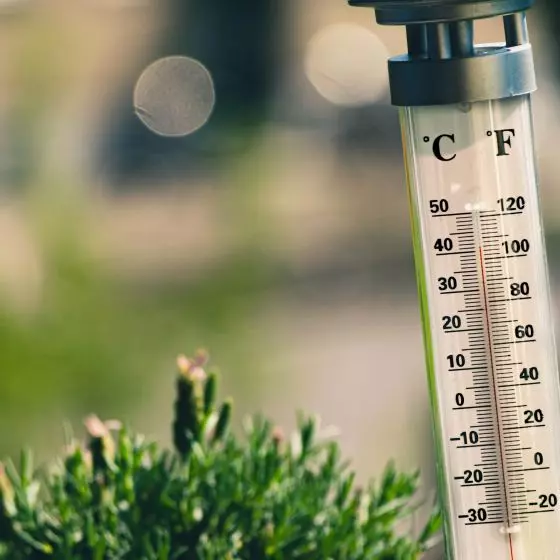 Zobacz 7 praktycznych porad, dzięki którym temperatura w Twoim domu będzie przyjemna nawet podczas największych upałów.