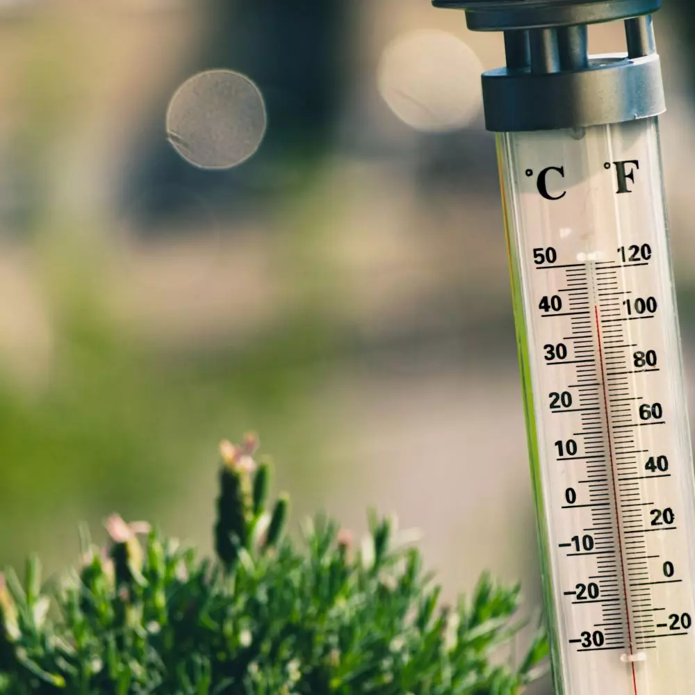 Zobacz 7 praktycznych porad, dzięki którym temperatura w Twoim domu będzie przyjemna nawet podczas największych upałów.
