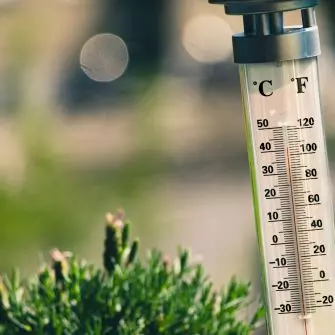 Zobacz 7 praktycznych porad, dzięki którym temperatura w Twoim domu będzie przyjemna nawet podczas największych upałów.