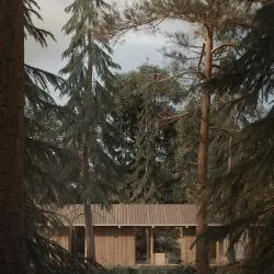 Dom jogi znajduje się w łotewskim lesie